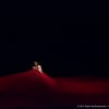 Ópera Lucia di Lammermoor ∏ 2016 Teatro del Bicentenario - Fotografía Arturo Lavín (12)