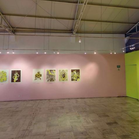 Galería José María Velasco